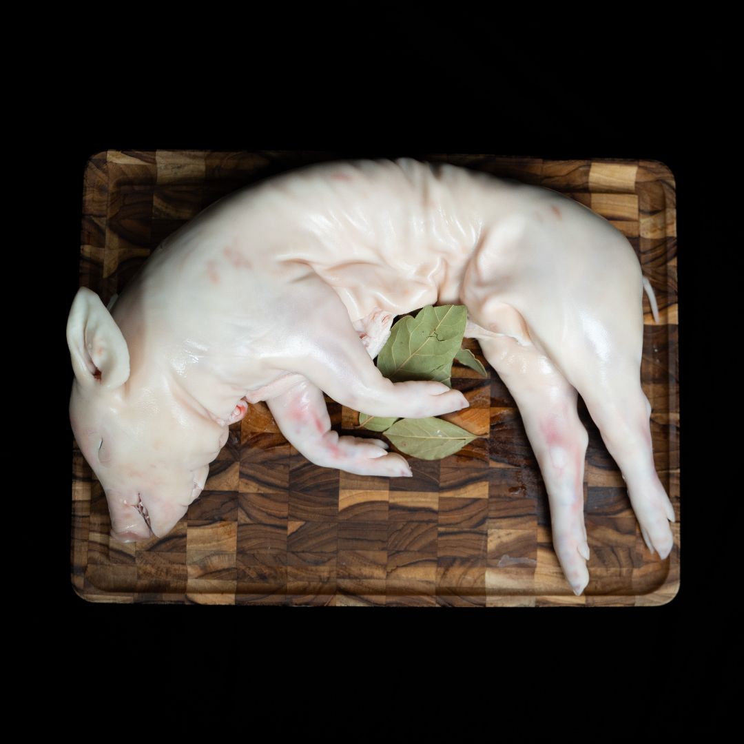 Cochinillo de 3 a 4 kg