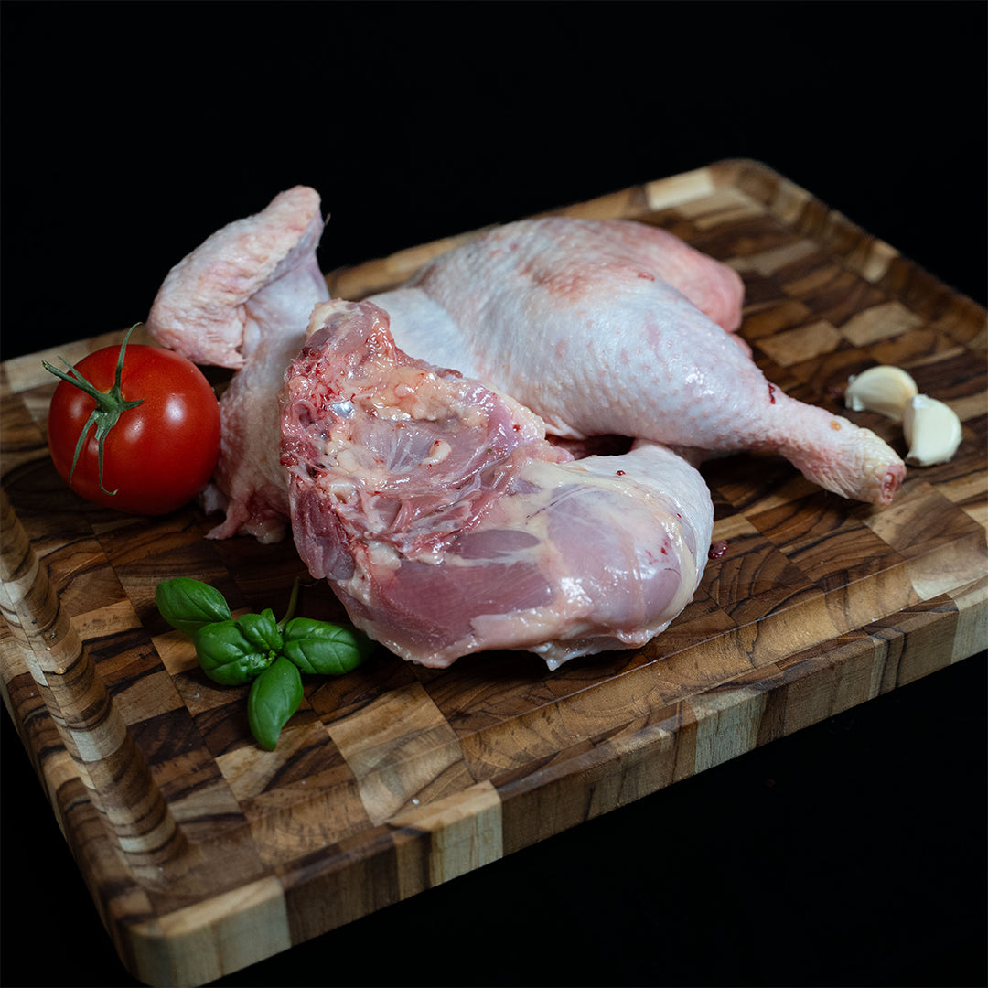 Gallina