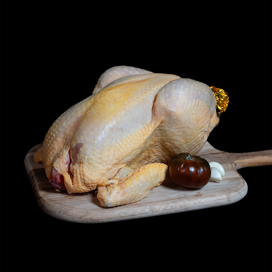 Pollo amarillo