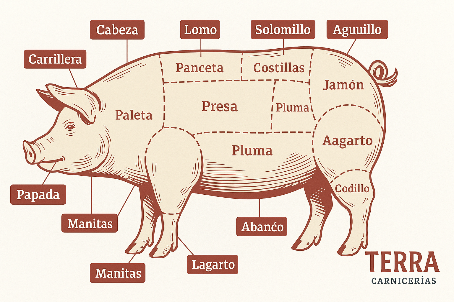 Tipos de carne de cerdo: guía completa de cortes, usos y tiempos